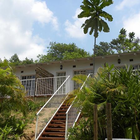 Bush Baby Glen Villa Hazyview Værelse billede