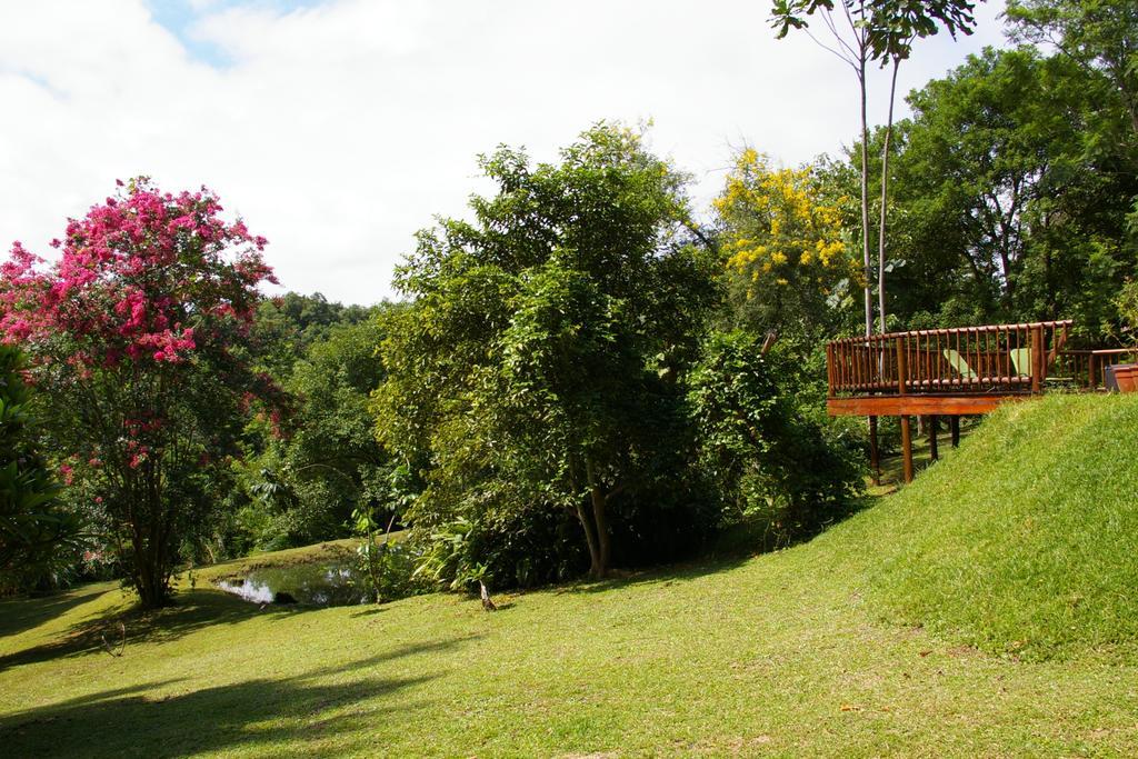 Bush Baby Glen Villa Hazyview Eksteriør billede